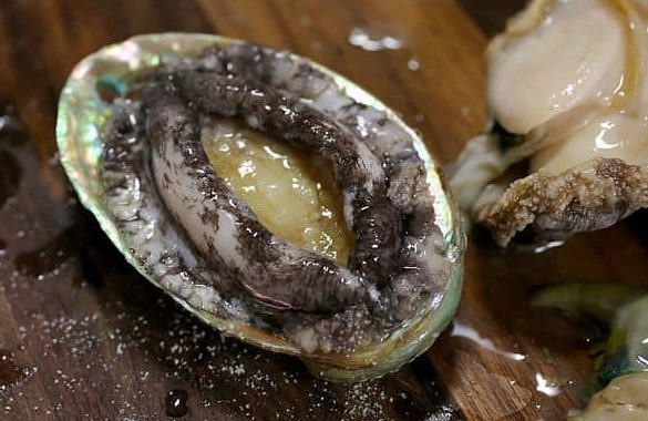 Abalone