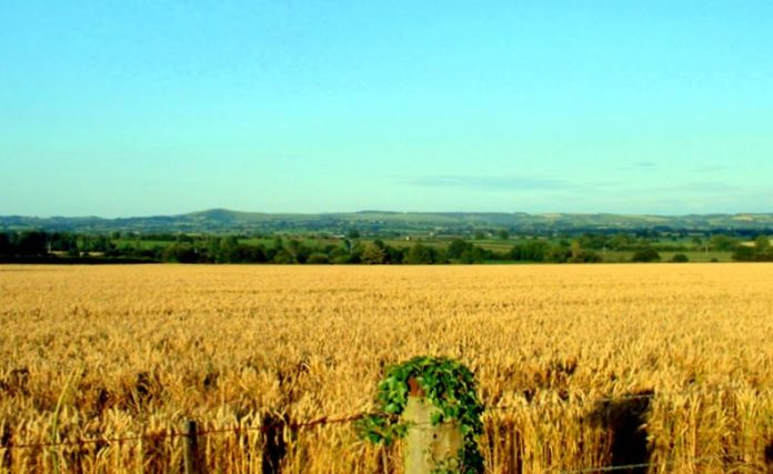Arable Land