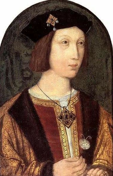 Arthur Tudor, the eldest son of Henry VII and Elizabeth of York, was born into a position of immense significance in English history.