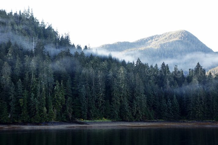 Alaska, known for its breathtaking landscapes and rich Indigenous cultures, holds a unique and often misunderstood region colloquially referred to as "The Bush.",The Bush (Alaska)